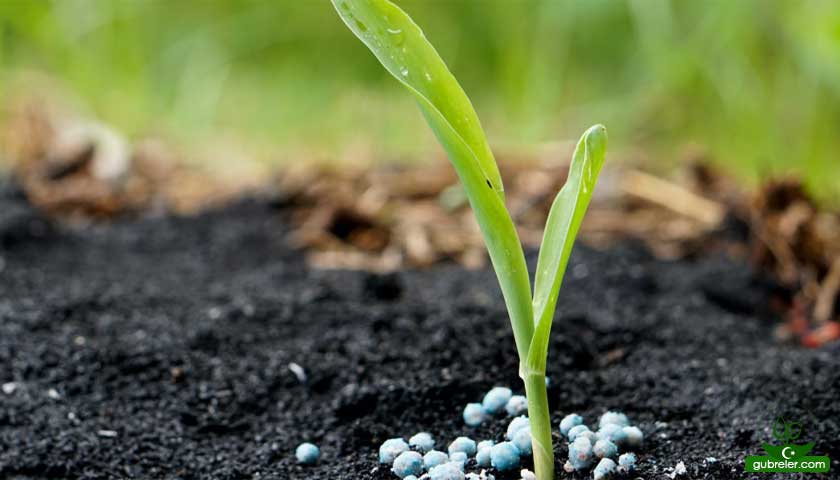 Urea Product 2